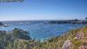 ./images/calvert/foggy-cove/20260819/foggy-cove20260819_170501M.jpg