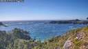 ./images/calvert/foggy-cove/20260819/foggy-cove20260819_171501M.jpg