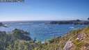./images/calvert/foggy-cove/20260819/foggy-cove20260819_172001M.jpg