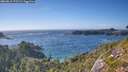 ./images/calvert/foggy-cove/20260819/foggy-cove20260819_172501M.jpg