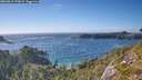 ./images/calvert/foggy-cove/20260819/foggy-cove20260819_173002M.jpg