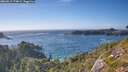 ./images/calvert/foggy-cove/20260819/foggy-cove20260819_174001M.jpg