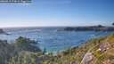 ./images/calvert/foggy-cove/20260819/foggy-cove20260819_174501M.jpg