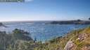 ./images/calvert/foggy-cove/20260819/foggy-cove20260819_175501M.jpg