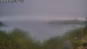 ./images/calvert/foggy-cove/20260820/foggy-cove20260820_060501M.jpg