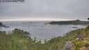 ./images/calvert/foggy-cove/20260820/foggy-cove20260820_063501M.jpg