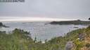 ./images/calvert/foggy-cove/20260820/foggy-cove20260820_064002M.jpg