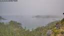 ./images/calvert/foggy-cove/20260820/foggy-cove20260820_081002M.jpg