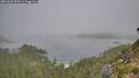./images/calvert/foggy-cove/20260820/foggy-cove20260820_090501M.jpg