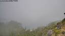 ./images/calvert/foggy-cove/20260820/foggy-cove20260820_093001M.jpg