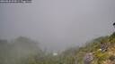 ./images/calvert/foggy-cove/20260820/foggy-cove20260820_095001M.jpg
