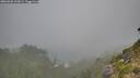 ./images/calvert/foggy-cove/20260820/foggy-cove20260820_100001M.jpg