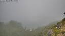 ./images/calvert/foggy-cove/20260820/foggy-cove20260820_100501M.jpg