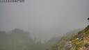 ./images/calvert/foggy-cove/20260820/foggy-cove20260820_101501M.jpg