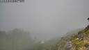 ./images/calvert/foggy-cove/20260820/foggy-cove20260820_102001M.jpg