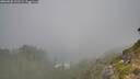 ./images/calvert/foggy-cove/20260820/foggy-cove20260820_102501M.jpg