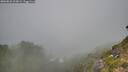 ./images/calvert/foggy-cove/20260820/foggy-cove20260820_103002M.jpg