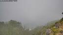 ./images/calvert/foggy-cove/20260820/foggy-cove20260820_103501M.jpg