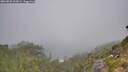./images/calvert/foggy-cove/20260820/foggy-cove20260820_105001M.jpg