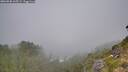 ./images/calvert/foggy-cove/20260820/foggy-cove20260820_105501M.jpg