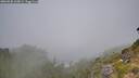./images/calvert/foggy-cove/20260820/foggy-cove20260820_110001M.jpg