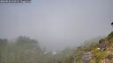 ./images/calvert/foggy-cove/20260820/foggy-cove20260820_110501M.jpg