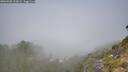 ./images/calvert/foggy-cove/20260820/foggy-cove20260820_111001M.jpg