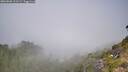 ./images/calvert/foggy-cove/20260820/foggy-cove20260820_111502M.jpg