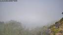 ./images/calvert/foggy-cove/20260820/foggy-cove20260820_112002M.jpg
