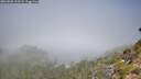 ./images/calvert/foggy-cove/20260820/foggy-cove20260820_112501M.jpg