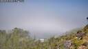 ./images/calvert/foggy-cove/20260820/foggy-cove20260820_113001M.jpg