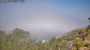 ./images/calvert/foggy-cove/20260820/foggy-cove20260820_113501M.jpg