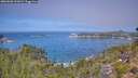 ./images/calvert/foggy-cove/20260820/foggy-cove20260820_121002M.jpg