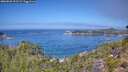./images/calvert/foggy-cove/20260820/foggy-cove20260820_121501M.jpg