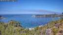 ./images/calvert/foggy-cove/20260820/foggy-cove20260820_122001M.jpg