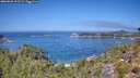 ./images/calvert/foggy-cove/20260820/foggy-cove20260820_122501M.jpg