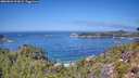 ./images/calvert/foggy-cove/20260820/foggy-cove20260820_123001M.jpg