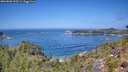 ./images/calvert/foggy-cove/20260820/foggy-cove20260820_123501M.jpg
