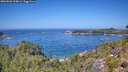 ./images/calvert/foggy-cove/20260820/foggy-cove20260820_124001M.jpg