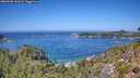 ./images/calvert/foggy-cove/20260820/foggy-cove20260820_131002M.jpg