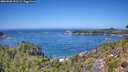 ./images/calvert/foggy-cove/20260820/foggy-cove20260820_131501M.jpg