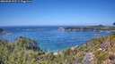 ./images/calvert/foggy-cove/20260820/foggy-cove20260820_133501M.jpg