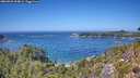 ./images/calvert/foggy-cove/20260820/foggy-cove20260820_134001M.jpg