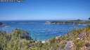 ./images/calvert/foggy-cove/20260820/foggy-cove20260820_134501M.jpg