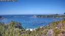 ./images/calvert/foggy-cove/20260820/foggy-cove20260820_135002M.jpg