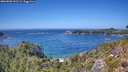 ./images/calvert/foggy-cove/20260820/foggy-cove20260820_141501M.jpg
