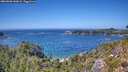 ./images/calvert/foggy-cove/20260820/foggy-cove20260820_142002M.jpg