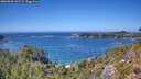 ./images/calvert/foggy-cove/20260820/foggy-cove20260820_142501M.jpg
