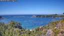 ./images/calvert/foggy-cove/20260820/foggy-cove20260820_143001M.jpg