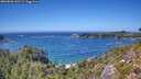 ./images/calvert/foggy-cove/20260820/foggy-cove20260820_143501M.jpg